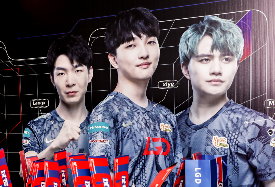 仅决定了双 仅决定了双