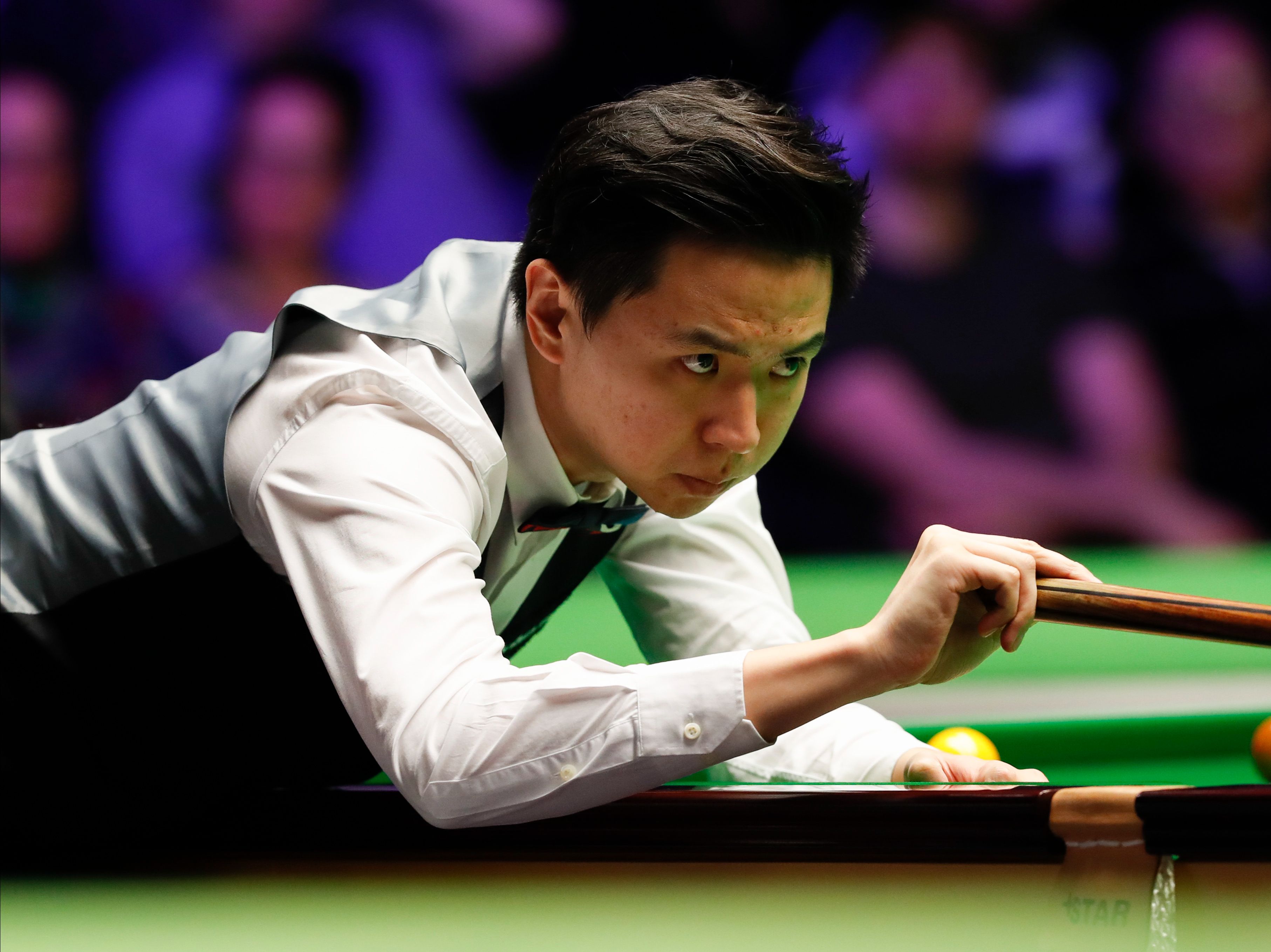国际象棋网